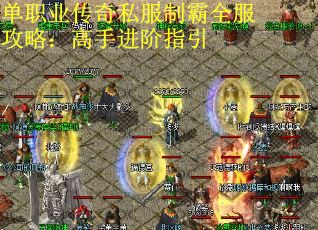 单职业传奇私服制霸全服攻略:高手进阶指引 单职业传奇私服制霸全服攻略:高手进阶指引