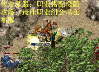 传奇私服:职业搭配极限攻略:最佳职业组合尽在掌握 传奇私服:职业搭配极限攻略:最佳职业组合尽在掌握