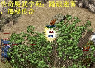 传奇魔武学苑：踏破迷雾，揭秘传奇