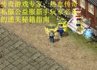 传奇游戏专家:热血传奇私服公益服新手玩家必备的通关秘籍指南 传奇游戏专家:热血传奇私服公益服新手玩家必备的通关秘籍指南