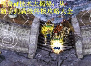 传奇sf技术大揭秘:从新手到满级终极攻略大全 传奇sf技术大揭秘:从新手到满级终极攻略大全