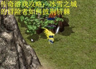 传奇游戏攻略：冰雪之城的冒险者如何披荆斩棘