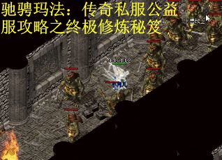 驰骋玛法:传奇私服公益服攻略之终极修炼秘笈 驰骋玛法:传奇私服公益服攻略之终极修炼秘笈