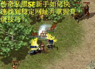 传奇私服SF新手如何快速找到稳定网址并掌握升级技巧?