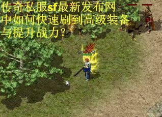 传奇私服sf最新发布网中如何快速刷到高级装备与提升战力?