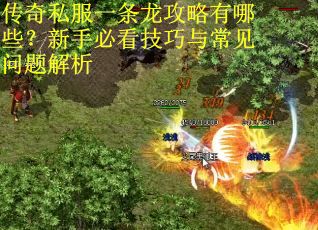 传奇私服一条龙攻略有哪些?新手必看技巧与常见问题解析
