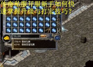 传奇私服开服新手如何快速掌握升级与打宝技巧？