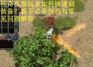 传奇私服玩家如何快速刷装备?新手必看技巧与常见问题解答