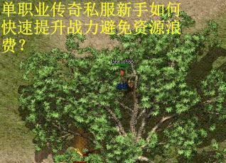 单职业传奇私服新手如何快速提升战力避免资源浪费? 单职业传奇私服新手如何快速提升战力避免资源浪费?