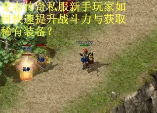 变态传奇私服新手玩家如何快速提升战斗力与获取稀有装备?