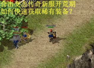 合击变态传奇新服开荒期如何快速获取稀有装备?