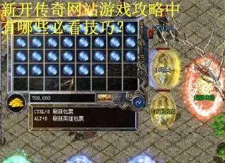 新开传奇网站游戏攻略中有哪些必看技巧?