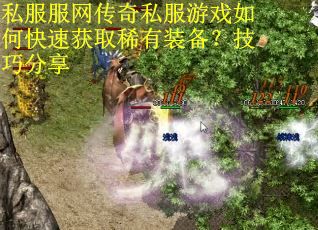 私服服网传奇私服游戏如何快速获取稀有装备?技巧分享 私服服网传奇私服游戏如何快速获取稀有装备?技巧分享