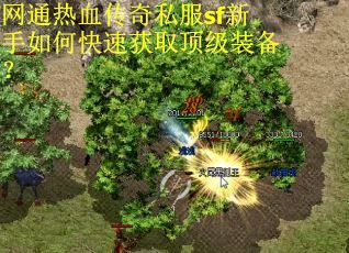 网通热血传奇私服sf新手如何快速获取顶级装备?