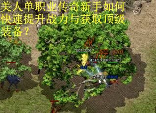 美人单职业传奇新手如何快速提升战力与获取顶级装备?