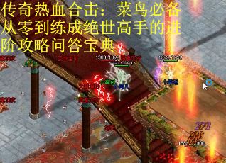 传奇热血合击:菜鸟必备从零到练成绝世高手的进阶攻略问答宝典 传奇热血合击:菜鸟必备从零到练成绝世高手的进阶攻略问答宝典