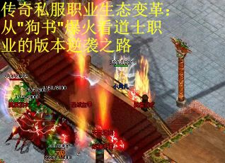 传奇私服职业生态变革:从 传奇私服职业生态变革:从