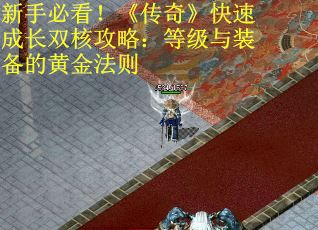 新手必看!《传奇》快速成长双核攻略:等级与装备的黄金法则