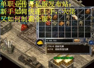 单职业传奇私服发布站：新手如何快速上手，大佬又如何制霸全服？