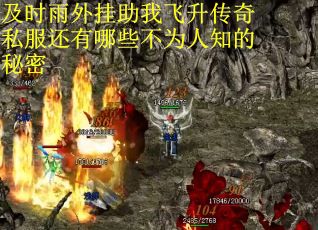 及时雨外挂助我飞升传奇私服还有哪些不为人知的秘密