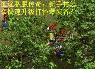 征途私服传奇:新手村怎么快速升级打怪爆装备? 征途私服传奇:新手村怎么快速升级打怪爆装备?