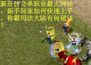 新开传奇单职业最大网站，新手玩家如何快速上手，称霸玛法大陆有何秘诀？
