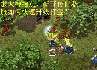 求大神指点,新开传世私服如何快速升级打宝? 求大神指点,新开传世私服如何快速升级打宝?