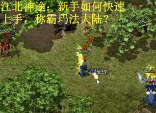 江北神途:新手如何快速上手,称霸玛法大陆?