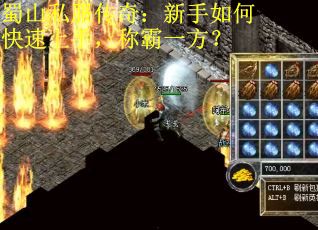 蜀山私服传奇:新手如何快速上手,称霸一方?