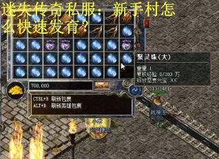 迷失传奇私服:新手村怎么快速发育?