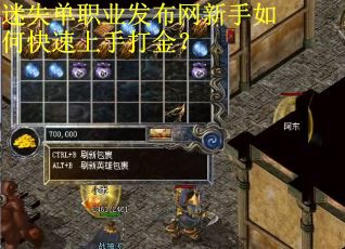 迷失单职业发布网新手如何快速上手打金?