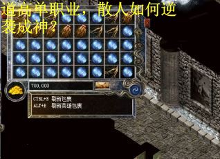 道高单职业,散人如何逆袭成神?