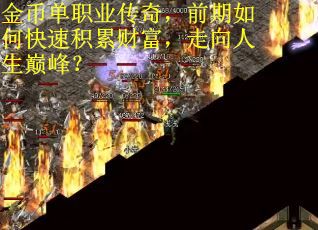 金币单职业传奇,前期如何快速积累财富,走向人生巅峰?