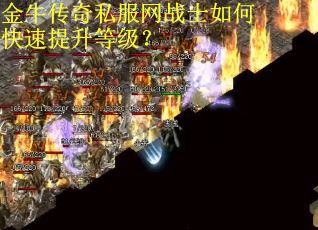 金牛传奇私服网战士如何快速提升等级？