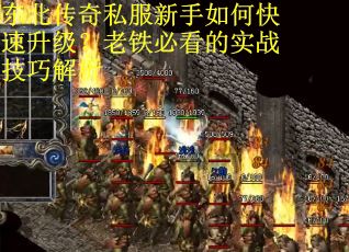 东北传奇私服新手如何快速升级?老铁必看的实战技巧解析 东北传奇私服新手如何快速升级?老铁必看的实战技巧解析