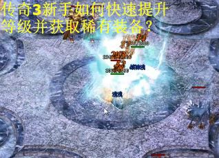 传奇3新手如何快速提升等级并获取稀有装备? 传奇3新手如何快速提升等级并获取稀有装备?