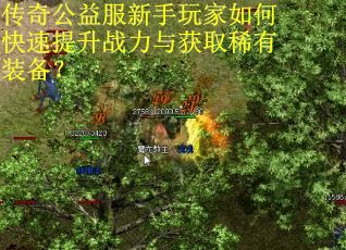 传奇公益服新手玩家如何快速提升战力与获取稀有装备? 传奇公益服新手玩家如何快速提升战力与获取稀有装备?