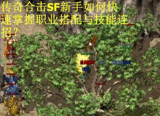 传奇合击SF新手如何快速掌握职业搭配与技能连招?