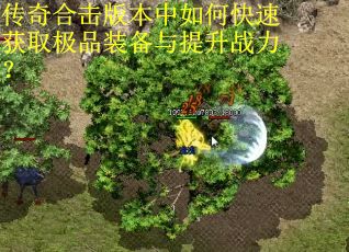 传奇合击版本中如何快速获取极品装备与提升战力?