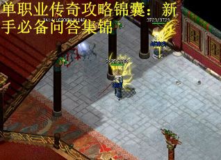 单职业传奇攻略锦囊：新手必备问答集锦